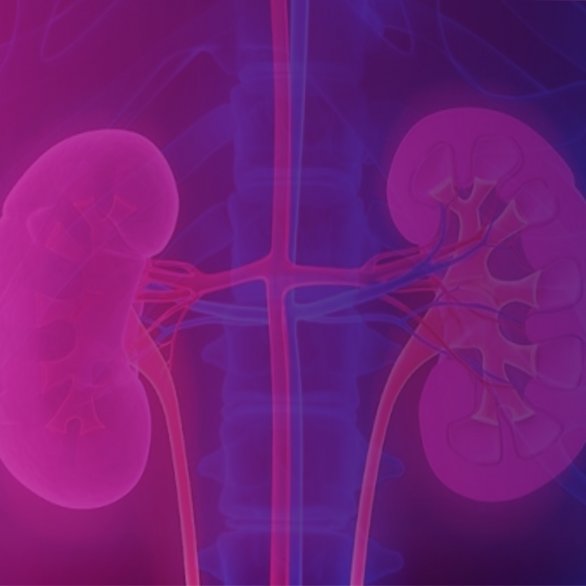 Научно-практическая конференция в онлайн формате  «Современные тенденции эндоскопической урологии»