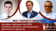 МКБ: теория и практика. Выпуск №18: «Артефакт мерцания при МКБ: консенсус физиков, ультразвуковых диагностов и урологов»