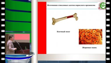 Чалый М.Е. - Перспективы применения аутологичных регенеративных клеток жировой ткани в лечении эректильной дисфункции