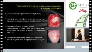 Неймарк Б.А.-Инфекции, передаваемые половым путем в генезе хронического простатита – Да или Нет?