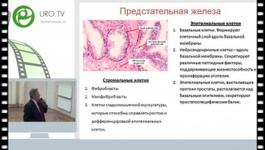 Аль-Шукри С.Х. - ДГПЖ и симптомы нижних мочевых путей. Современный взгляд на проблему