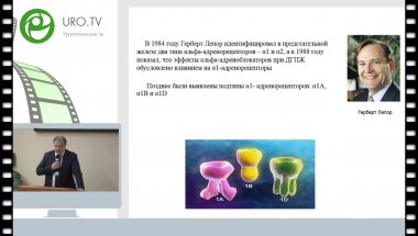 Кузьмин И.В. - Уродинамические эффекты селективных альфа-адреноблокаторов при лечении больных ДГПЖ