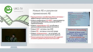 Перепанова Т.С. - Обзор по проблеме Урогенитальные инфекции на ЕАУ-2018г