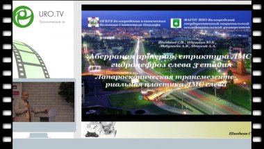 Шкодкин С.В. - Трансмезентериальный доступ в реконструкции лоханочно-мочеточникового сегмента