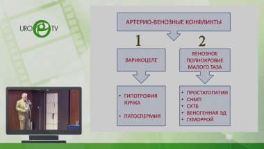 Капто А.А. - Достижения и перспективы ангиоандрологии