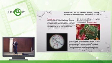 Фаниев М.В. - Скрининг тестикулярного микробиома у инфертильных больных