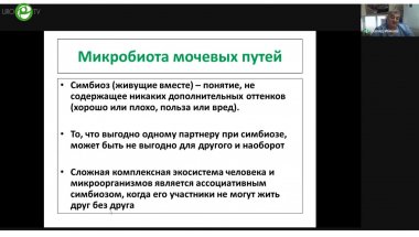 Ибишев Х.С - Рецидивирующие инфекции нижних мочевых путей. Современный взгляд на проблему
