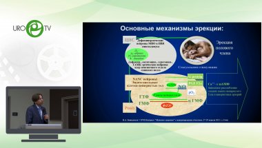 Божедомов В.А. - Терапия ЭД и других сексуальных расстройств в 2021г