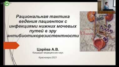 Царёва А.В. - Рациональная тактика ведения пациенток с инфекциями НМП в эру антибиотикорезистентности