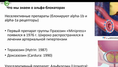 Котов С.В. - Нерешённые вопросы терапии альфа-блокаторами