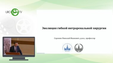 Сорокин Н.И. - Эволюция гибкой интраренальной хирургии
