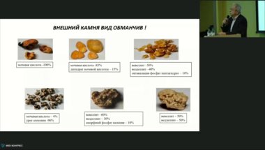 Саенко В.С. - Что нового в метафилактике МКБ?