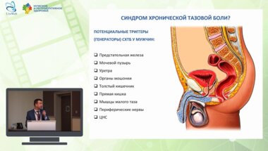 Миркин Я.Б. - Органы малого таза в качестве триггеров СХТБ