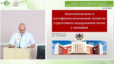 Жиборев А.Б. - Анатомические и патофизиологические аспекты стрессового недержания мочи у женщин