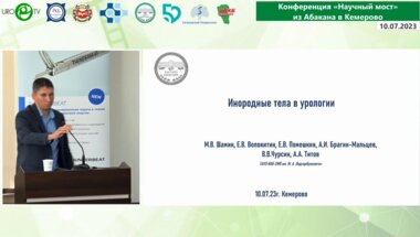 Шамин М.В. - Инородные тела в урологии