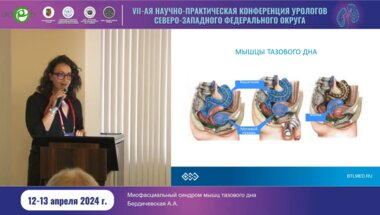 Бердичевская А.А. - Миофасциальный синдром мышц тазового дна