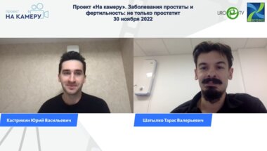 Шатылко Т.В. - Заболевания простаты и фертильность: не только простатит