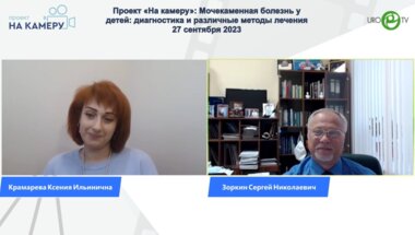 Зоркин С.Н. - Мочекаменная болезнь у детей: диагностика и различные методы лечения