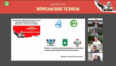 Шкодкин С.В. - Плюсы и минусы малоинвазивных методов лечения РПЖ