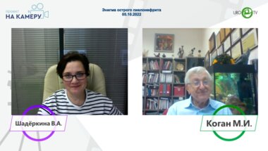 Коган М.И. - Энигма острого пиелонефрита