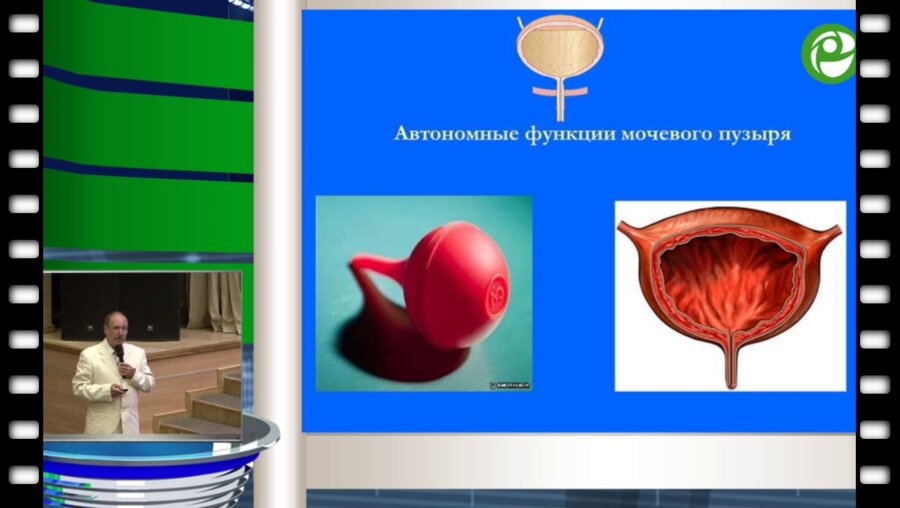 Б.А. Бердичевский - Роль цитомединов в терапии ДГПЖ