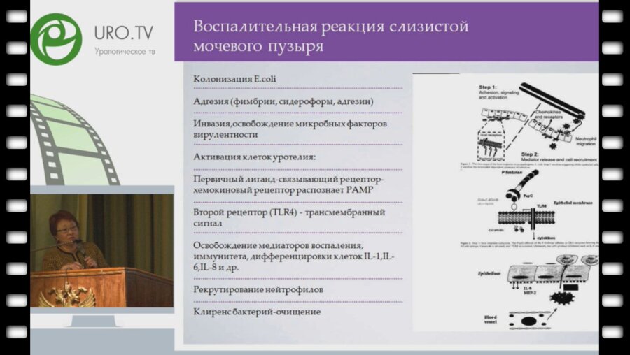 Перепанова Т.С. - Рецидивирующие циститы, роль иммунотерапии