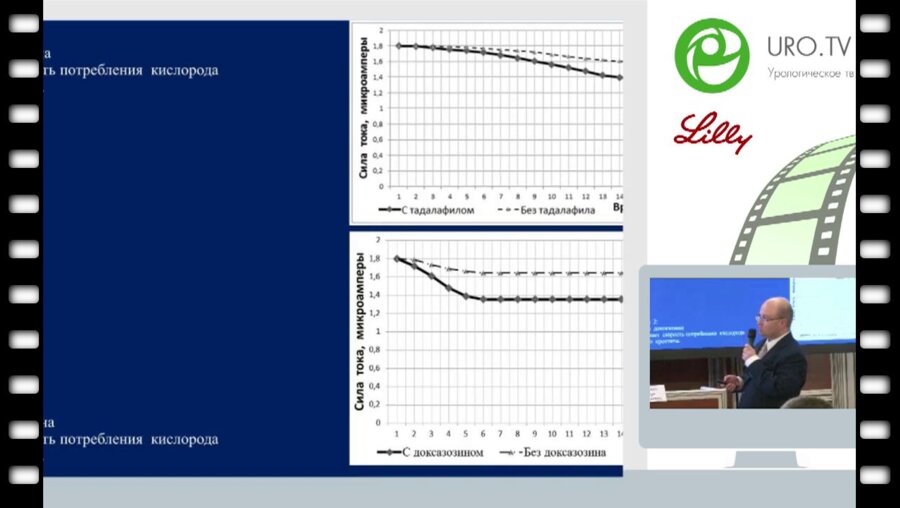 Лобкарёв А.О. - Тадалафил и доксазозин имеют общий механизм