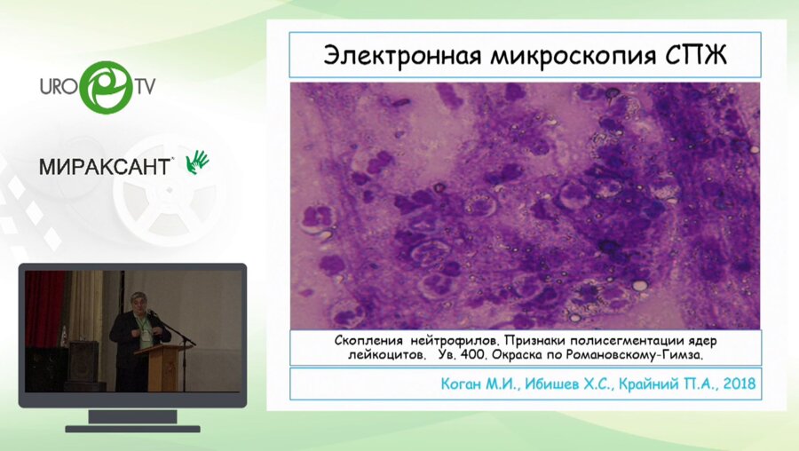 Ибишев Х.С. - Хронический простатит. Что нового?