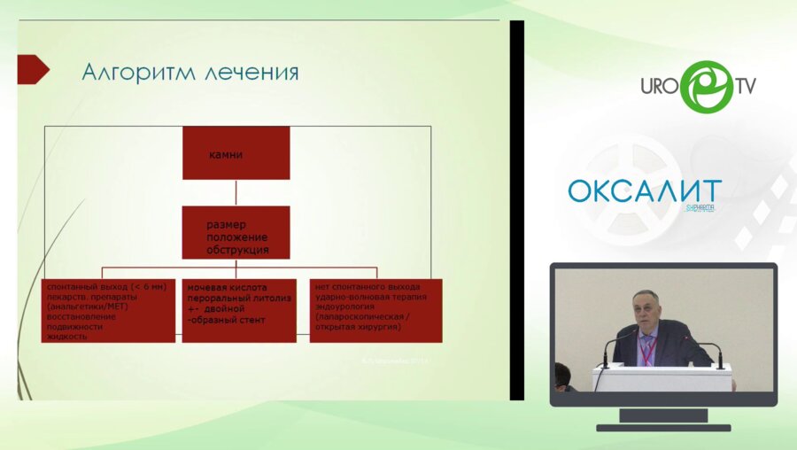 Неймарк А.И. - Современные аспекты литокинетической терапии после ДЛТ с позиций доказательной медицины - экономика