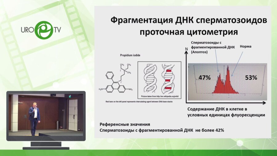 Прокопьев  Я.В. - Современные технологии в диагностике и коррекции мужской инфертильности