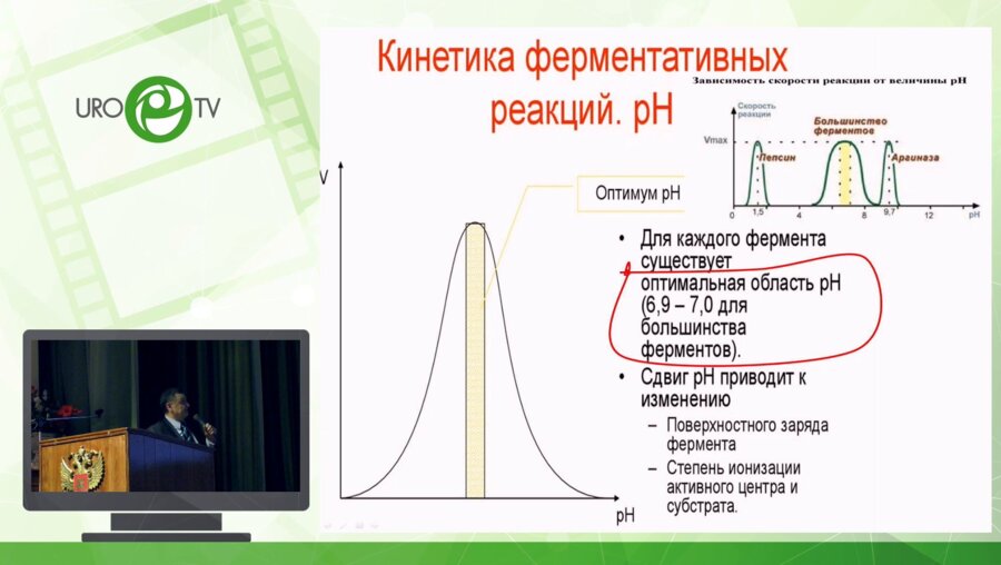 Татевосян А.С. - Новый подход в лечении мочекислого нефролитиаза при цитратном литолизе - максимизация амплитудного диапазона рН мочи