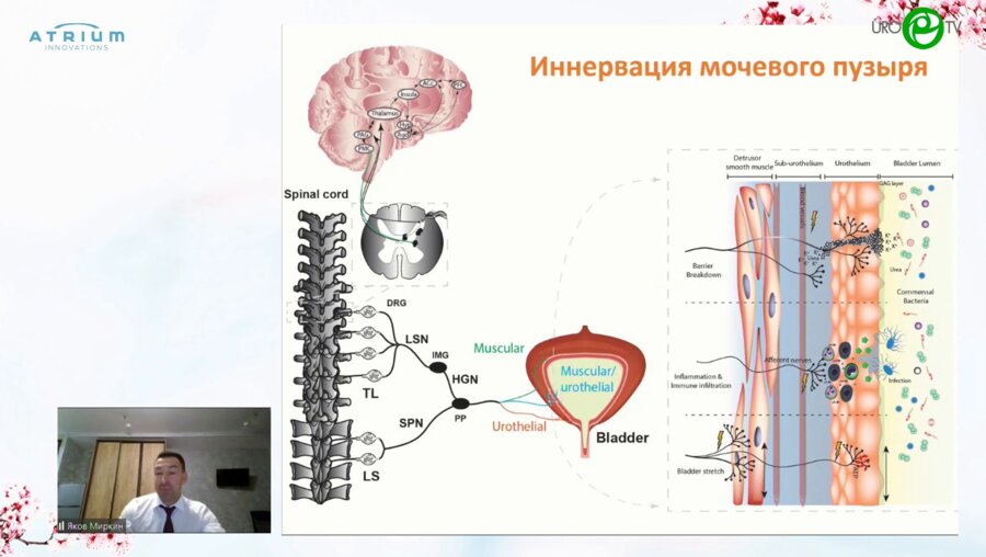 Миркин Я.Б. - Внутрипузырная и физиотерапия у пациенток с ГАМП
