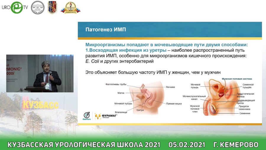 Феофилов И.В. - Рациональная фармакотерапия ИМП