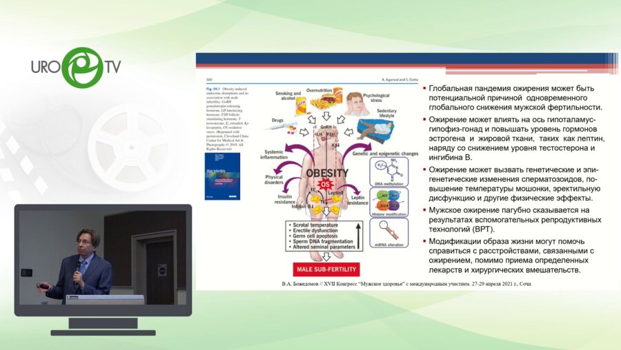 Божедомов В.А. - Нарушение репродуктивной функции у мужчин с ожирением