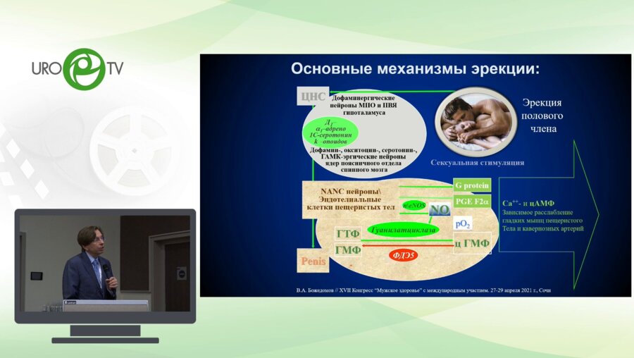 Божедомов В.А. - Терапия ЭД и других сексуальных расстройств в 2021г