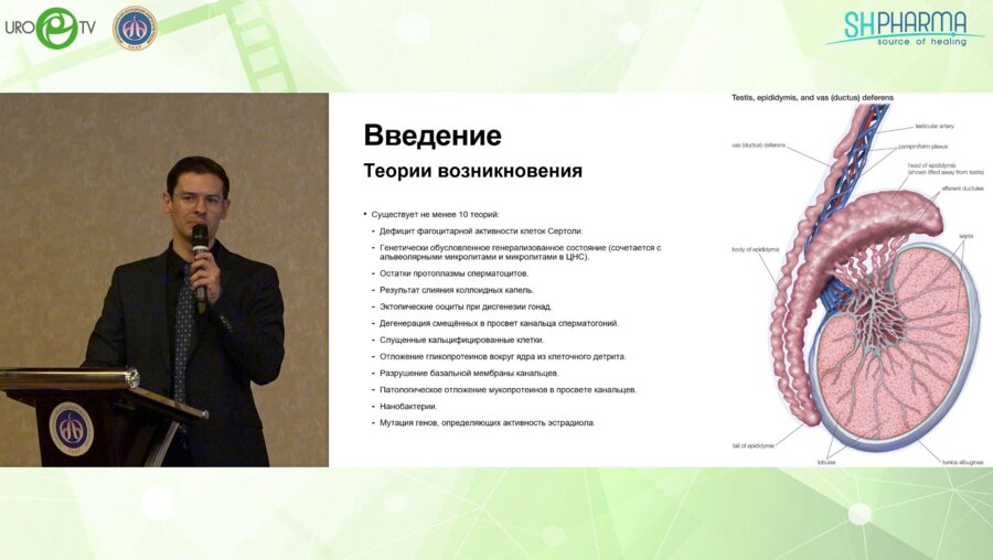 Шатылко Т.В. - Тестикулярный микролитиаз. В поисках оптимального подхода