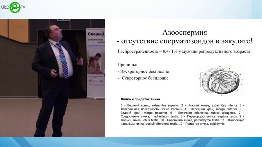 Виноградов И.В. - Азооспермия. Отсутствие сперматозойдов в эякуляте
