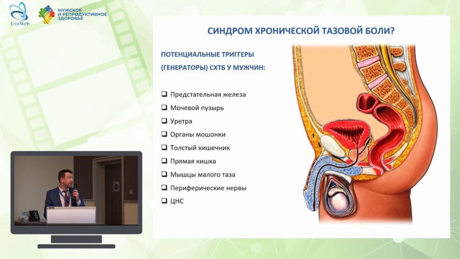 Миркин Я.Б. - Органы малого таза в качестве триггеров СХТБ