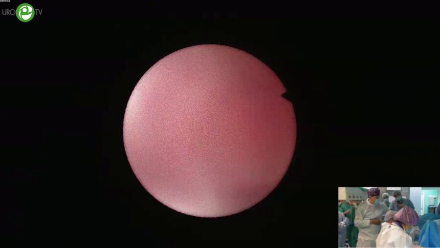 Мартов А.Г. - RIRS