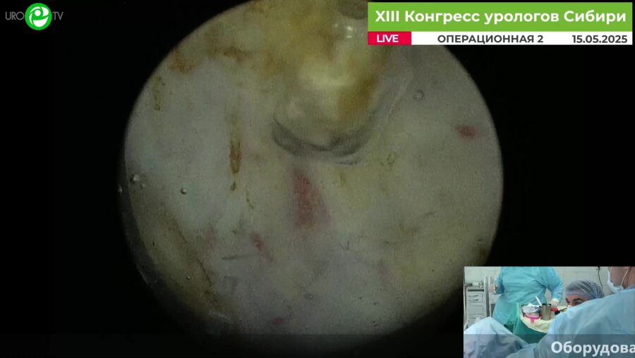 Дымов А.М. - ТУЛЭП