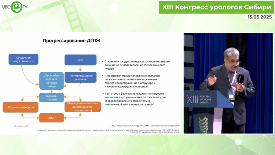 Феофилов И.В. - Оптимальная терапия пациентов с СНМП/ДГПЖ. Баланс эффективности и безопасности