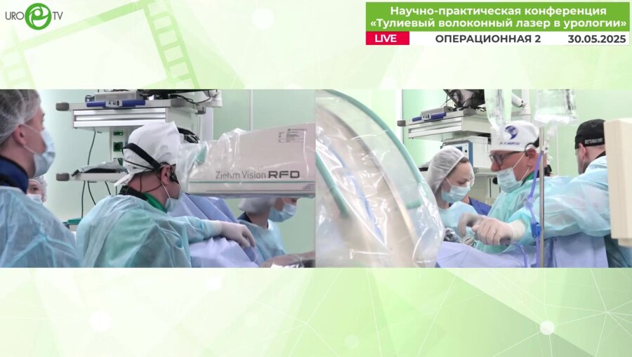 Мартов А.Г., Андронов А.С. - Эндоскопическая комбинированная интраренальная хирургия