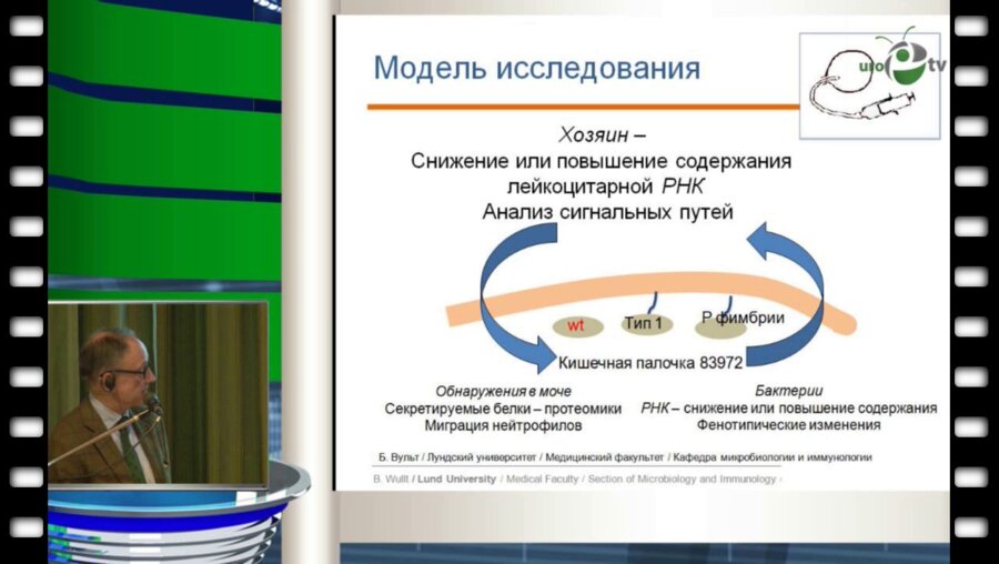 Б. Вульт - Что нового в передовых исследованиях по мочевой инфекции?