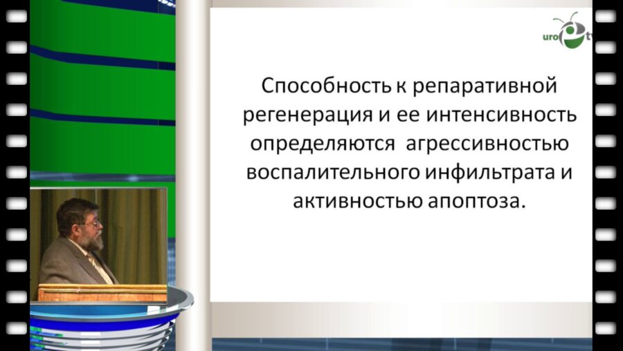 Кудрявцев Ю.В. - Трансформации цитокератиновой рецепции при хроническом абактериальном простатите и некоторые методы коррекции цитокинетической принадлежности
