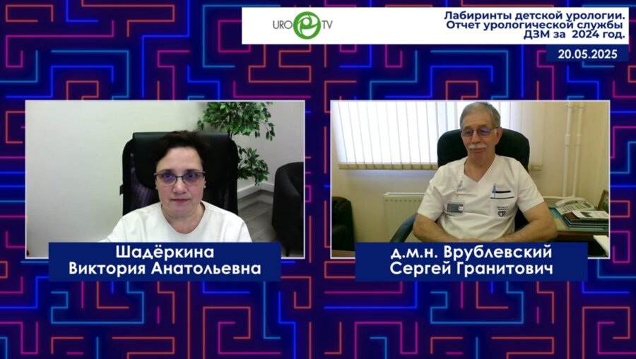 Врублевский С.Г. - Отчет урологической службы ДЗМ за 2024 год