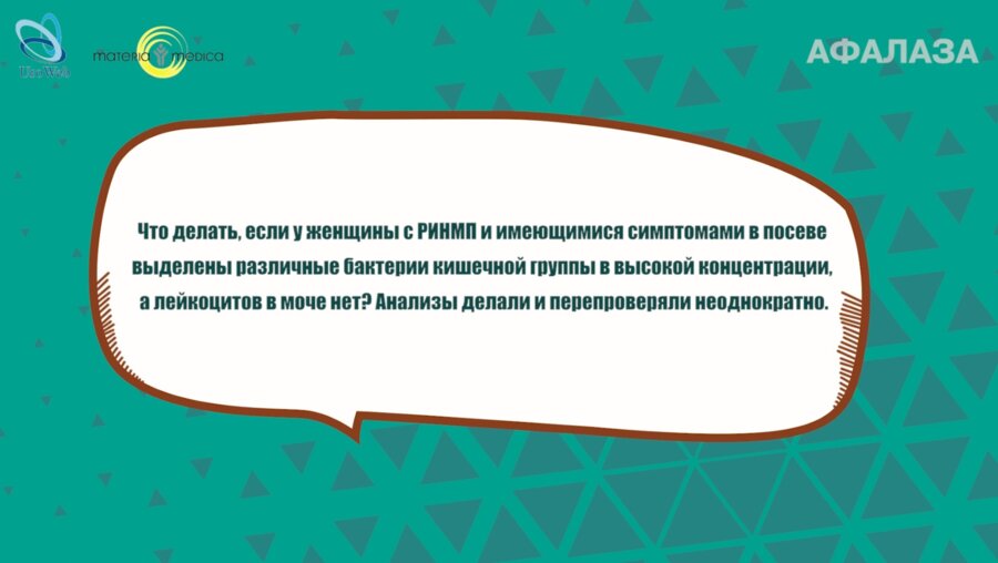 Ибишев Х.С. - Если у женщины с РИНМП и симптомами в посеве выделены бактерии кишечной группы в высокой концентрации, а лейкоцитов в моче нет?