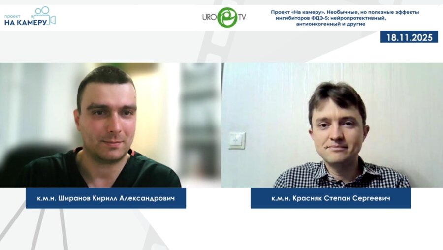 Красняк С.С., Ширанов К.А. - Необычные, но полезные эффекты ингибиторов ФДЭ-5: нейропротективный, антионкогенный и другие