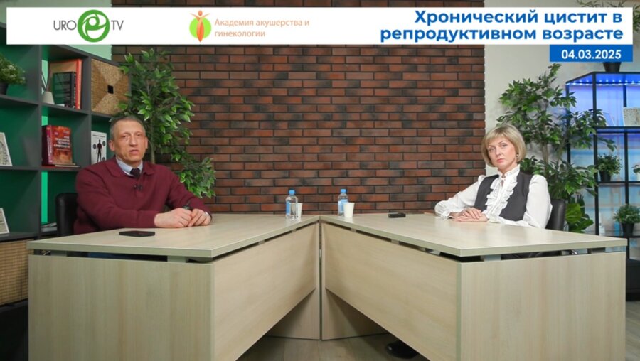 Касян В.Н., Гвоздев М.Ю. - Хронический цистит в репродуктивном возрасте