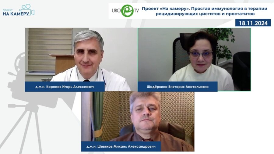 Корнеев И.А., Шевяков М.А. - Простая иммунология в терапии рецидивирующих циститов и простатитов