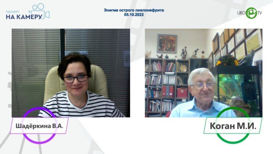 Коган М.И. - Энигма острого пиелонефрита